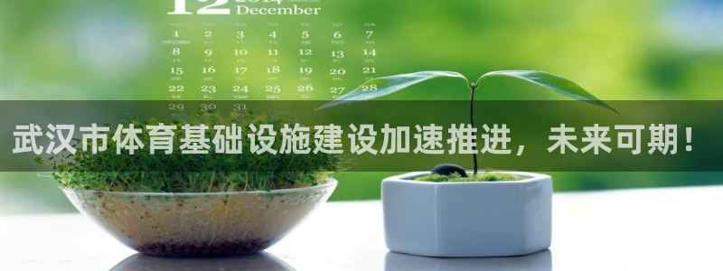 意昂4官网：武汉市体育基础设施建设加速推进，未来可期
