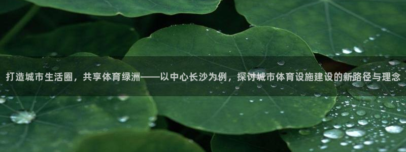 意昂4五金厂：打造城市生活圈，共享体育绿洲——以中心