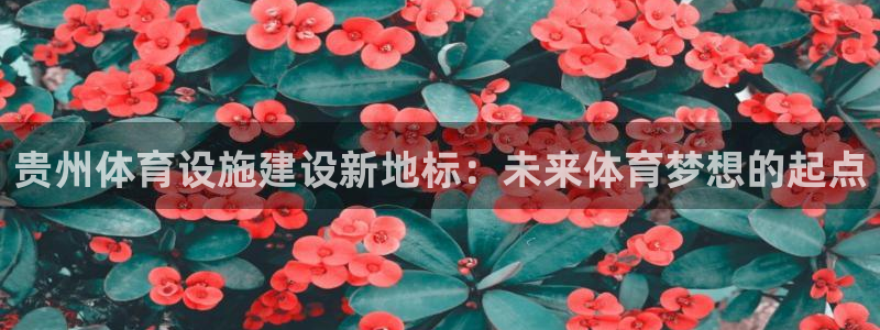 意昂体育4招商电话地址：贵州体育设施建设新地标：未来