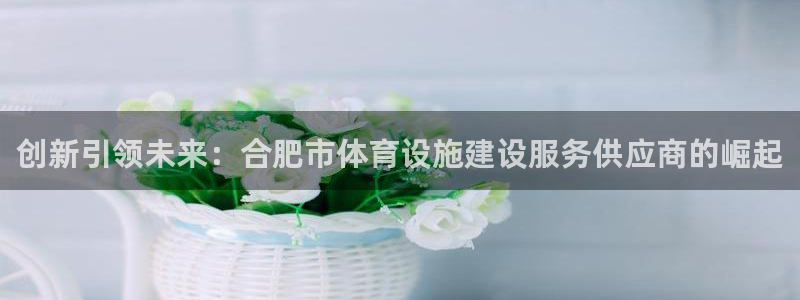 意昂平台体育：创新引领未来：合肥市体育设施建设服务供