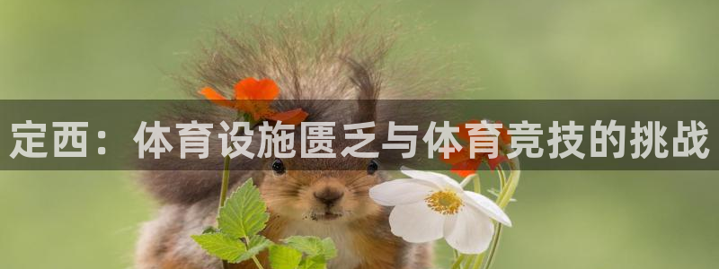 意昂4集团简介：定西：体育设施匮乏与体育竞技的挑战