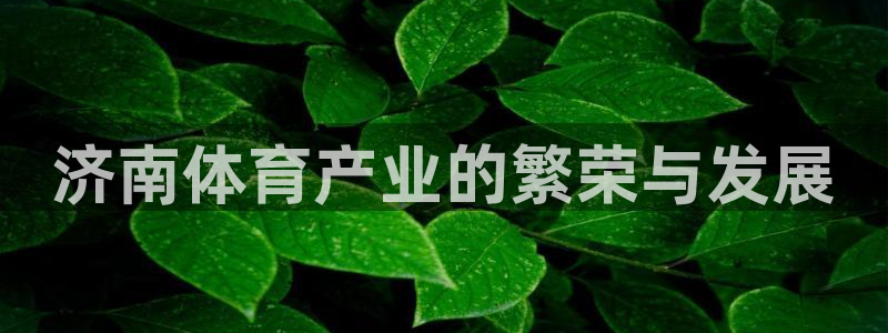 意昂体育4招商电话地址查询：济南体育产业的繁荣与发展