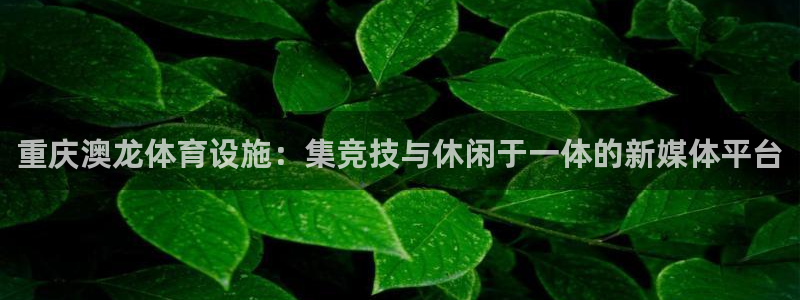 意昂体育4招商电话号码是多少啊：重庆澳龙体育设施：集竞技与休