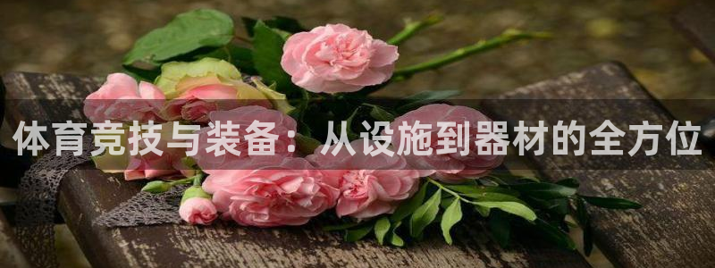 海南意昂体育4