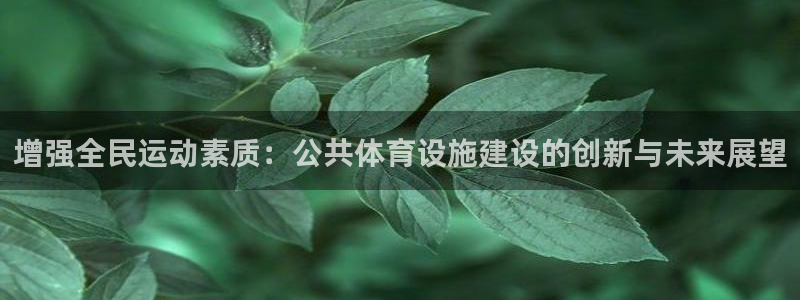 注册意昂4：增强全民运动素质：公共体育设施建设的创新