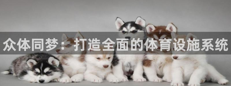 意昂4娱乐首页官网下载