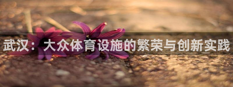 意昂体育4平台注册：武汉：大众体育设施的繁荣与创新实践