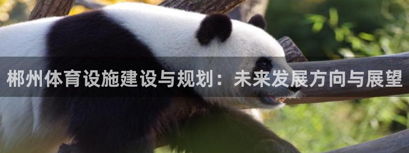 意昂体育4平台注册流程图：郴州体育设施建设与规划：未来发展方