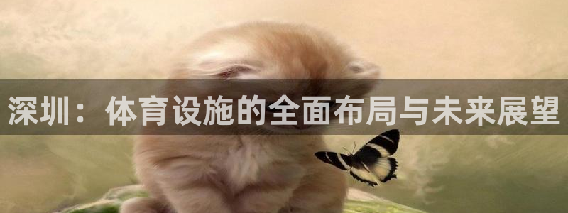 意昂4娱乐网站：深圳：体育设施的全面布局与未来展望