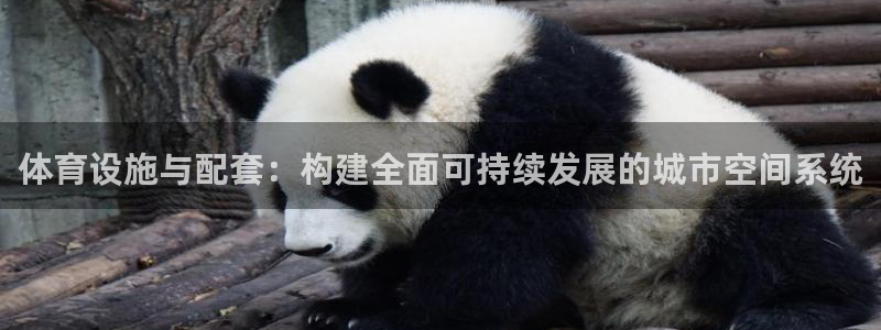 意昂4集团官网首页网址：体育设施与配套：构建全面可持续发展的