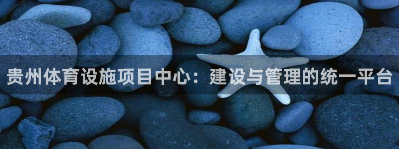意昂体育4招商：贵州体育设施项目中心：建设与管理的统