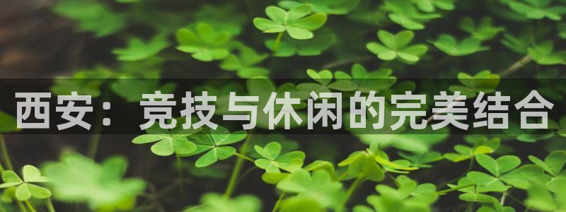 意昂体育4平台注册流程图：西安：竞技与休闲的完美结合