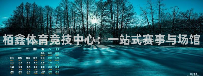 意昂体育4平台注册：栢鑫体育竞技中心：一站式赛事与场