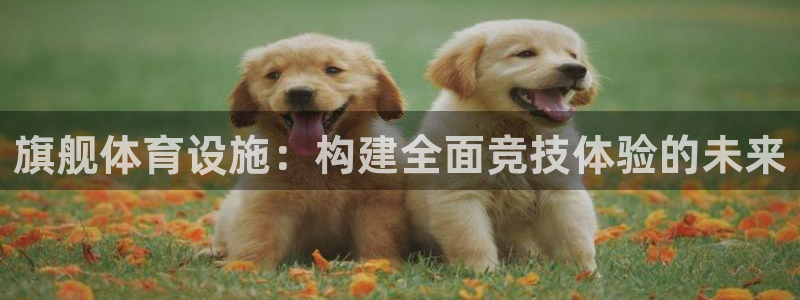 意昂体育4平台假的吗是真的吗吗：旗舰体育设施：构建全