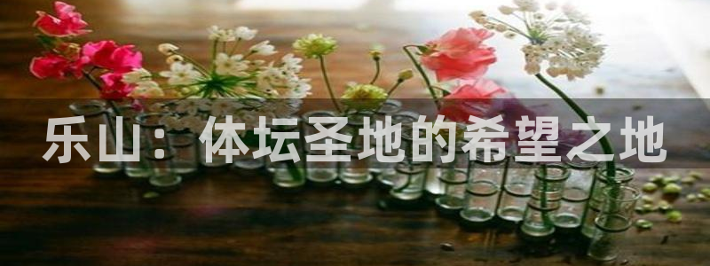 意昂体育4平台是正规平台吗知乎：乐山：体坛圣地的希望