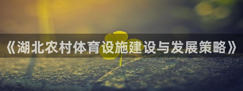意昂4集团：《湖北农村体育设施建设与发展策略》