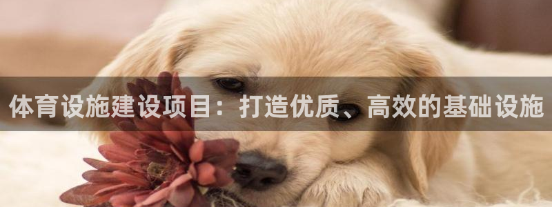 意昂体育4招商电话是多少：体育设施建设项目：打造优质