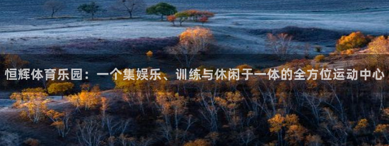 意昂4娱乐代理怎么样：恒辉体育乐园：一个集娱乐、训练