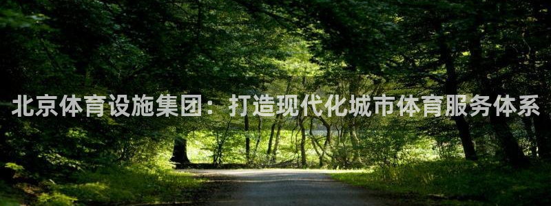意昂4集团官网首页：北京体育设施集团：打造现代化城市