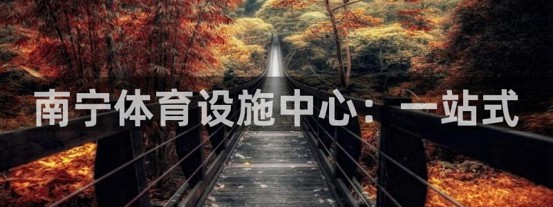 海南意昂体育4：南宁体育设施中心：一站式