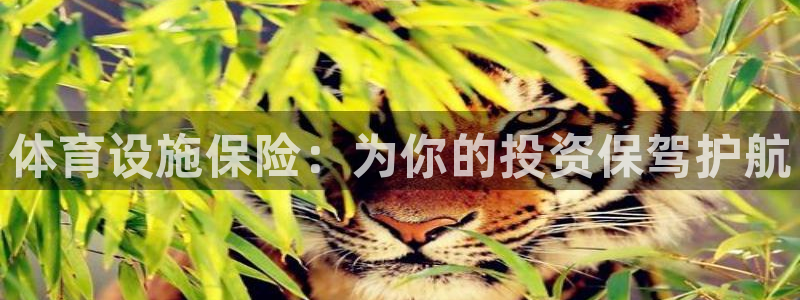 意昂4集团：体育设施保险：为你的投资保驾护航