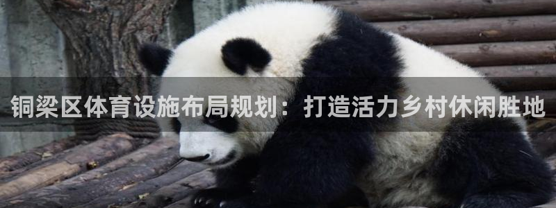 意昂4娱乐网站：铜梁区体育设施布局规划：打造活力乡村休闲胜地