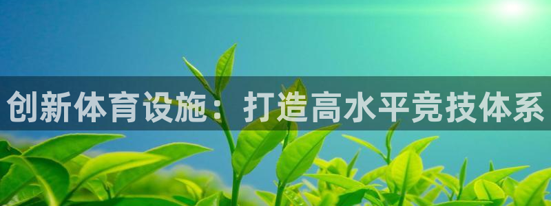 意昂4五金厂：创新体育设施：打造高水平竞技体系