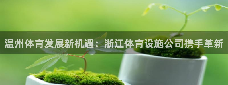 意昂4集团E.ON：温州体育发展新机遇：浙江体育设施