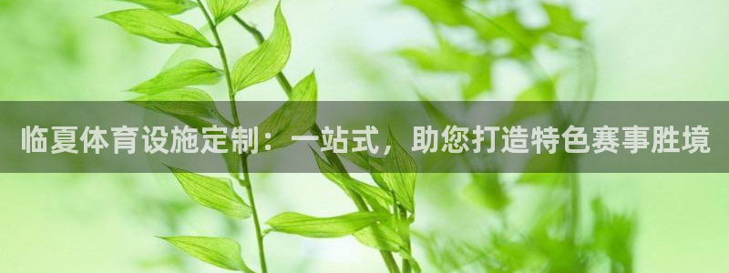 意昂体育4招商电话号码是多少号：临夏体育设施定制：一
