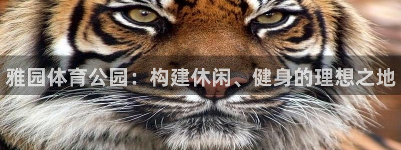 意昂4娱乐：雅园体育公园：构建休闲、健身的理想之地
