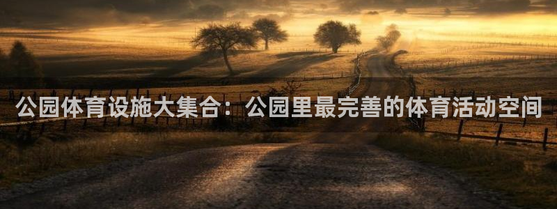 意昂体育4平台注册：公园体育设施大集合：公园里最完善