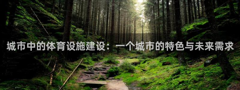 意昂体育4平台：城市中的体育设施建设：一个城市的特色
