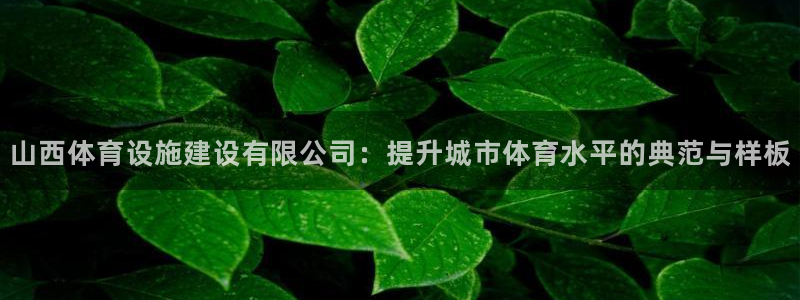 意昂体育4平台注册流程图：山西体育设施建设有限公司：