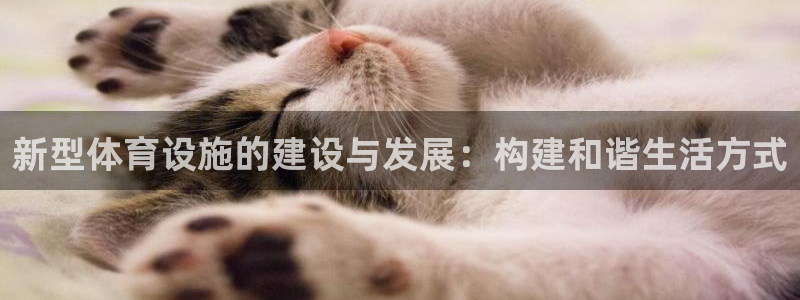 意昂4集团E.ON：新型体育设施的建设与发展：构建和