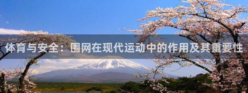 意昂平台体育：体育与安全：围网在现代运动中的作用及其