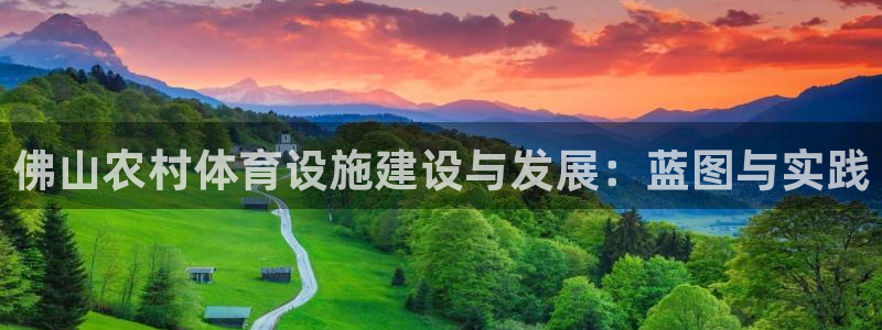 意昂4集团官网网址：佛山农村体育设施建设与发展：蓝图