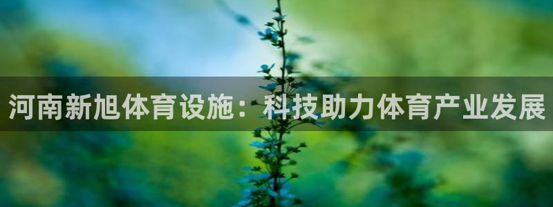 海南意昂体育4发展怎么样：河南新旭体育设施：科技助力