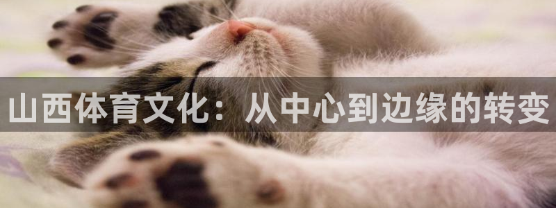 意昂体育4招商电话是多少号码：山西体育文化：从中心到