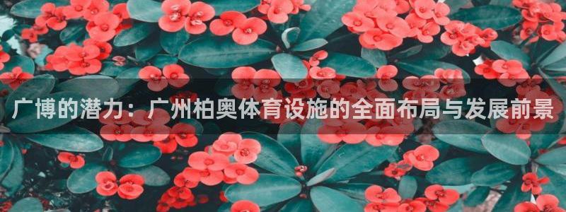 意昂体育4招商电话号码查询是多少：广博的潜力：广州柏