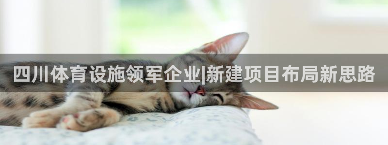 意昂4集团官网首页网址：四川体育设施领军企业|新建项