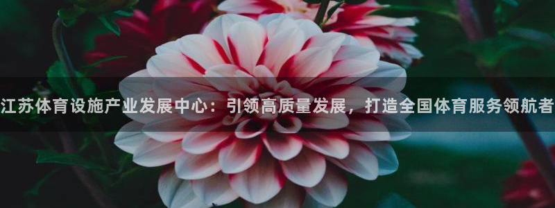 意昂体育4招商电话号码是多少号：江苏体育设施产业发展