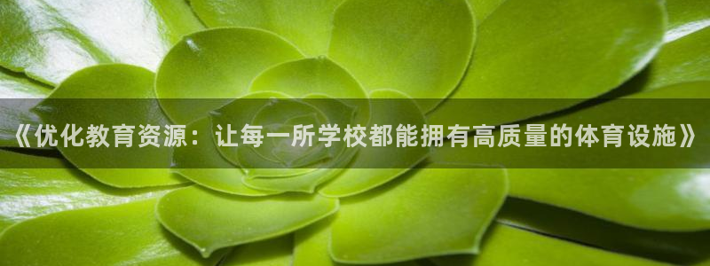 海南意昂体育4：《优化教育资源：让每一所学校都能拥有