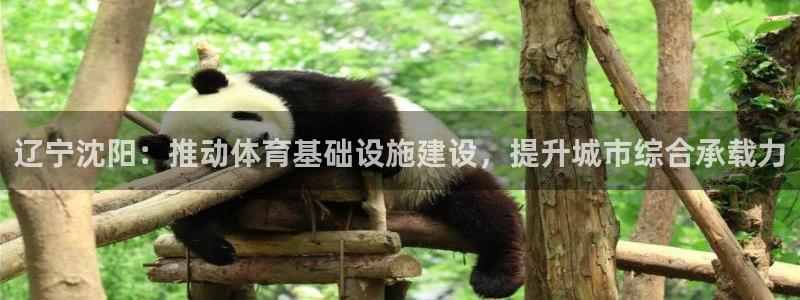 意昂4娱乐网站：辽宁沈阳：推动体育基础设施建设，提升城市综合